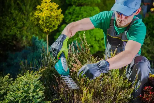 landscaping services Coleridge